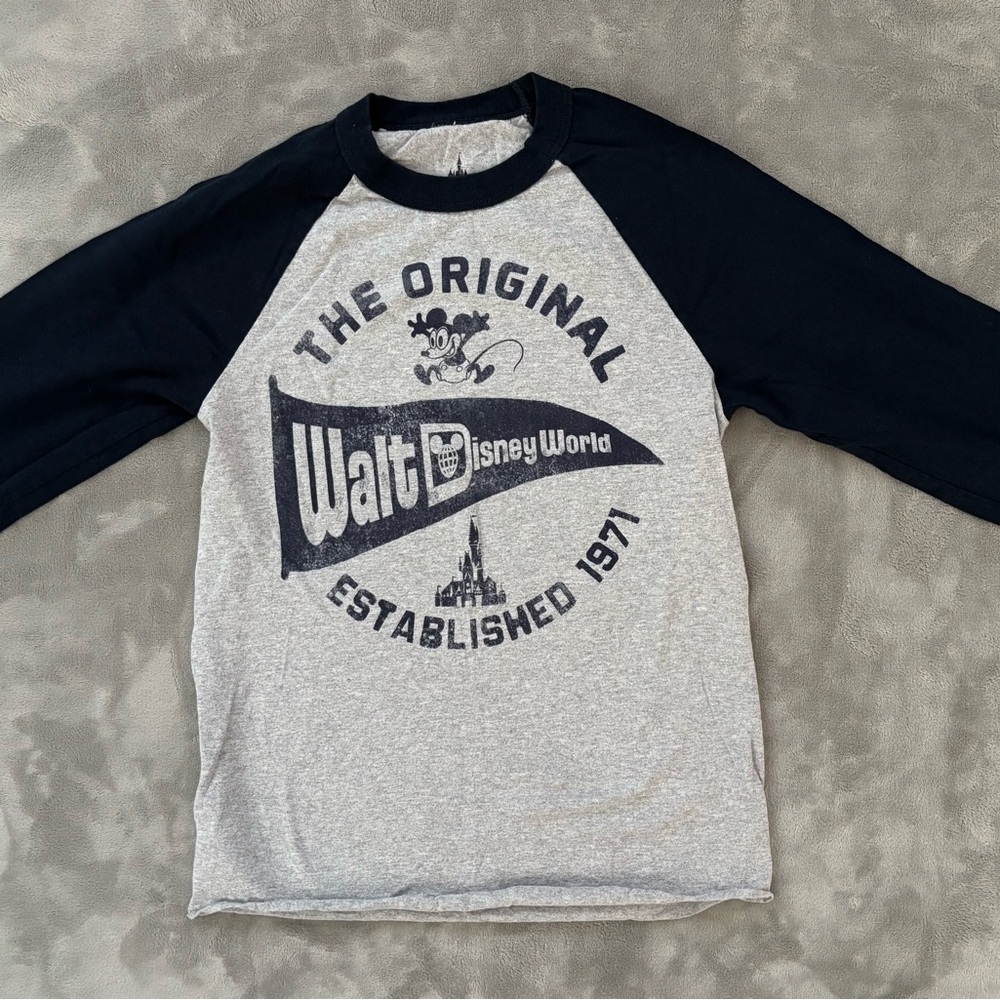 Authentic Disney World Parks Kids Raglan Shirt - Gray and Black